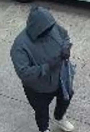 NYC robber - 99 yo landlord.jpeg