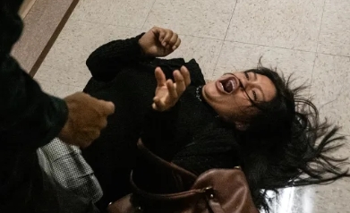 New York City ICE agent attack at courthouse.jpeg